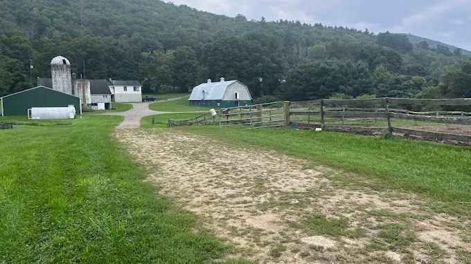 Gunn Brook Farm Digital Presence