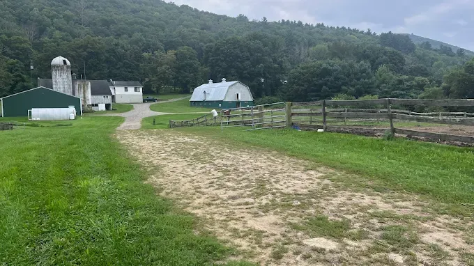 Gunn Brook Farm Digital Presence